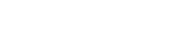 Bewize Inc. Logo
